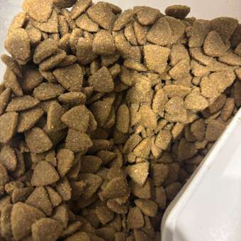 Корм сухой для собак PRO PLAN EVERYDAY NUTRITION 3 кг с курицей для средних пород: отзыв пользователя. Зоомагазин Зоозавр