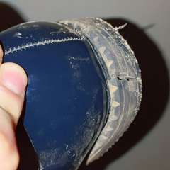 Фото отзыва 6734324