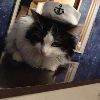 Костюм Зоозавр Морячок: отзыв пользователя. Зоомагазин Зоозавр