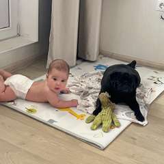 Фото отзыва 10536985