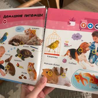 Комплект говорящих книжек BertToys Нажималки: Животные + Транспорт: отзыв пользователя Детский Мир