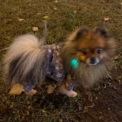 Фото отзыва 10659296