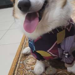 Фото отзыва 10896705