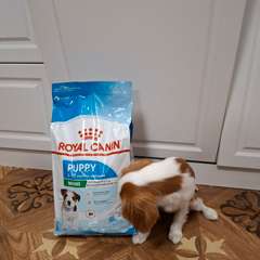 Фото отзыва 10986207