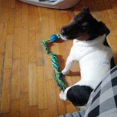 Фото отзыва 10937275