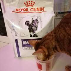 Фото отзыва 11030642