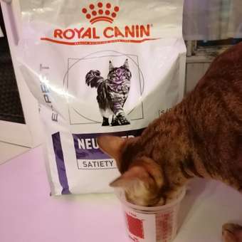Корм для кошек ROYAL CANIN Neutered Satiety Balance стерилизованных 3.5кг: отзыв пользователя. Зоомагазин Зоозавр