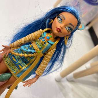 Кукла модельная Monster High Cleo de Nile: отзыв пользователя ДетМир