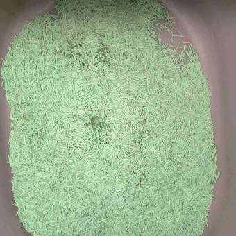 Наполнитель для кошачьего туалета Homzen Tofu Зеленый чай комкующийся 6л: отзыв пользователя. Зоомагазин Зоозавр