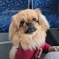 Фото отзыва 10868256