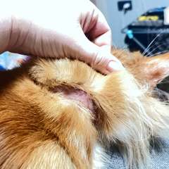 Фото отзыва 10657097