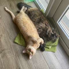 Фото отзыва 10723742