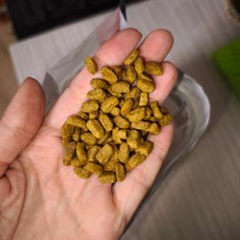 Корм сухой для кошек PRO PLAN RENAL PLUS 400г + 200г с кроликом для стерилизованных: отзыв пользователя. Зоомагазин Зоозавр