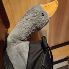 Фото отзыва 4875714