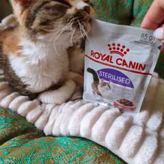 Фото отзыва 10531802