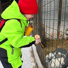 Фото отзыва 11079412