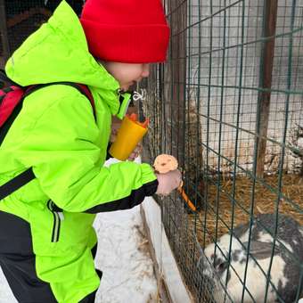 Комбинезон Arctland: отзыв пользователя Детский Мир