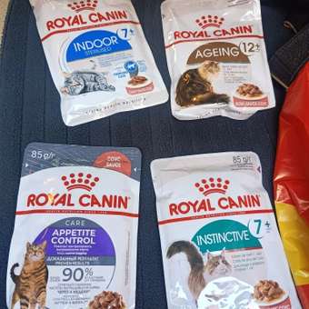 Корм для кошек ROYAL CANIN Care Аппетайт контроль соус пауч 85г: отзыв пользователя. Зоомагазин Зоозавр