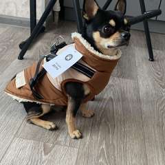 Фото отзыва 7864406