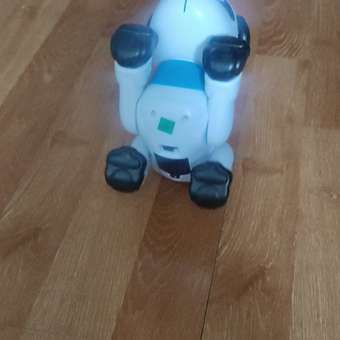 Собака РУ Mobicaro Собака: отзыв пользователя Детский Мир