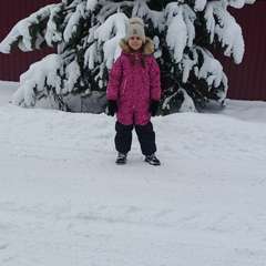 Фото отзыва 10964734