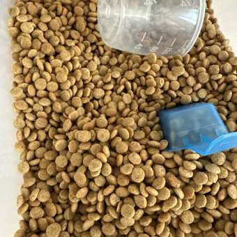 Корм для собак ROYAL CANIN Gastrointestinal low fat мелких пород 3кг: отзыв пользователя. Зоомагазин Зоозавр