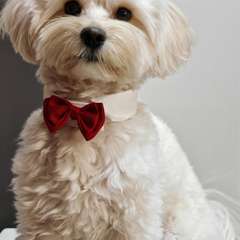 Фото отзыва 10579475