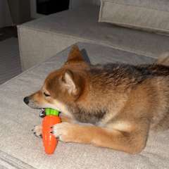 Фото отзыва 11093664