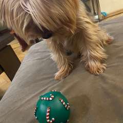 Фото отзыва 10826176