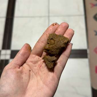 Корм для кошек AWARD 1.5кг с индейкой и курицей с добавлением клюквы и цикория sterilized для взрослых стерилизованных сухой: отзыв пользователя. Зоомагазин Зоозавр