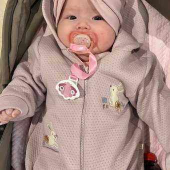 Пустышка Philips Avent силикон от 0 мес. 2 шт.: отзыв пользователя Детский Мир