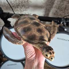 Фото отзыва 10304445