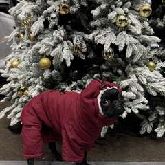 Фото отзыва 10948168