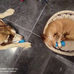 Фото отзыва 10652026