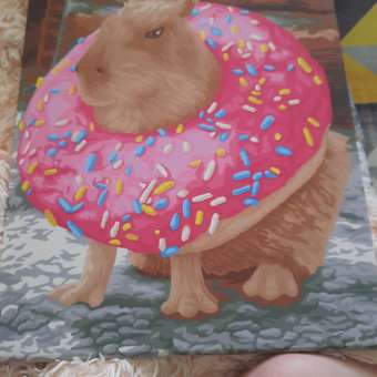 Картина по номерам Art sensation Милая капибара в ассортименте: отзыв пользователя Детский Мир