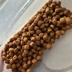 Фото отзыва 10645088