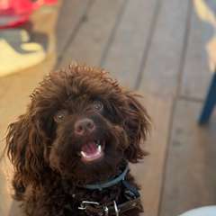 Фото отзыва 10638247