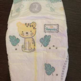 Подгузники Pampers Premium Care 2 (4-8 кг) 66 шт.: отзыв пользователя ДетМир
