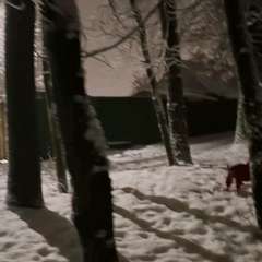 Видео отзыва 10969868