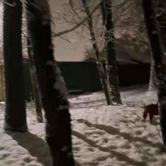 Комбинезон для собак и кошек Зоозавр: отзыв пользователя. Зоомагазин Зоозавр