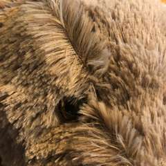 Фото отзыва 10743891