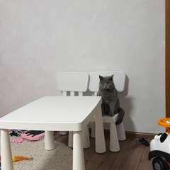 Фото отзыва 10858359