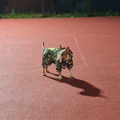 Фото отзыва 10763521