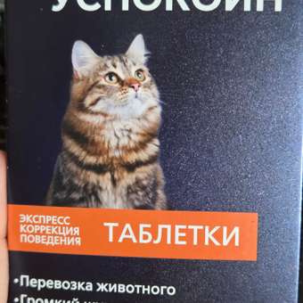 Успокоительное для кошек Астрафарм Экспресс Успокоин 6таблеток: отзыв пользователя. Зоомагазин Зоозавр