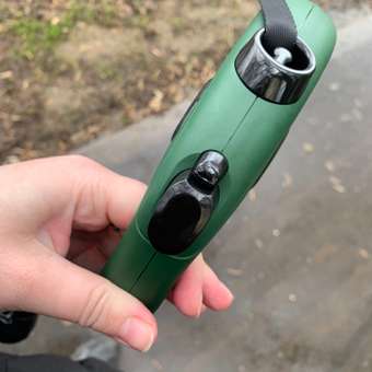 Рулетка для собак Flexi New Classic L лента 5м 50кг olive green: отзыв пользователя. Зоомагазин Зоозавр