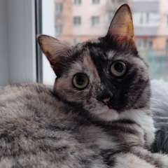 Фото отзыва 10778522