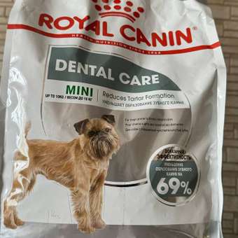 Корм для собак ROYAL CANIN Mini Dental мелких пород предрасположенных к образованию зубного камня 3кг: отзыв пользователя. Зоомагазин Зоозавр