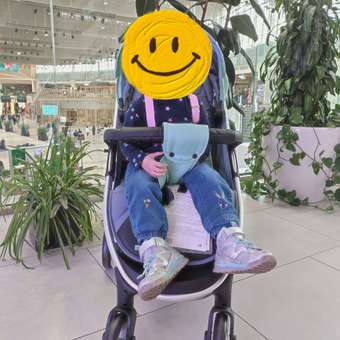Коляска прогулочная Babyton Cosmo Pink розовый: отзыв пользователя Детский Мир