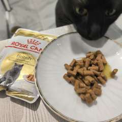 Фото отзыва 11096575