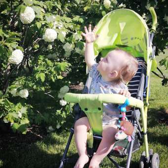 Коляска прогулочная Babyton Zoo Green: отзыв пользователя ДетМир